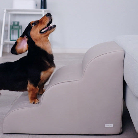 Backyard Oomph Pet Stairs in Mercury