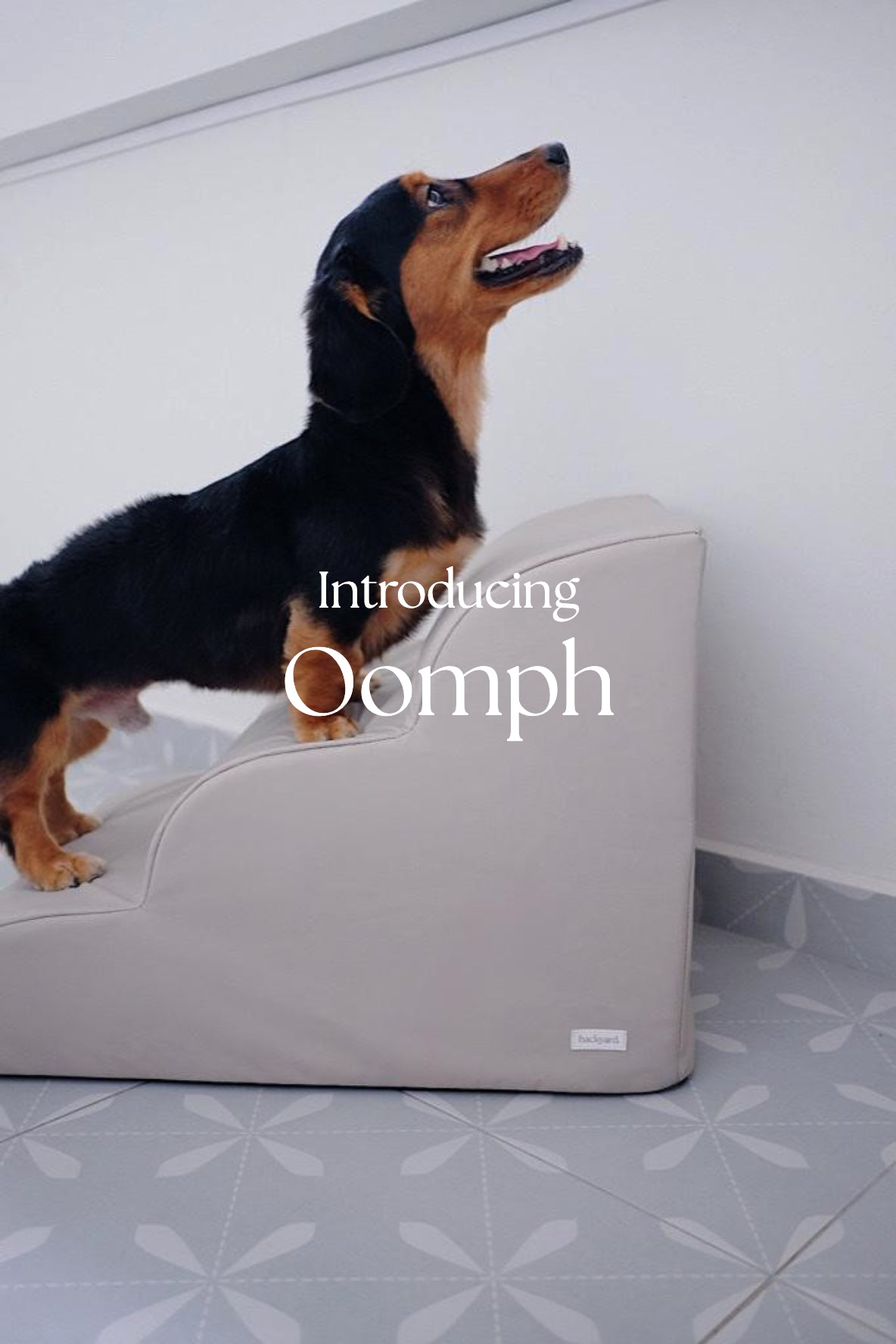 Backyard Oomph Pet Stairs in Mercury