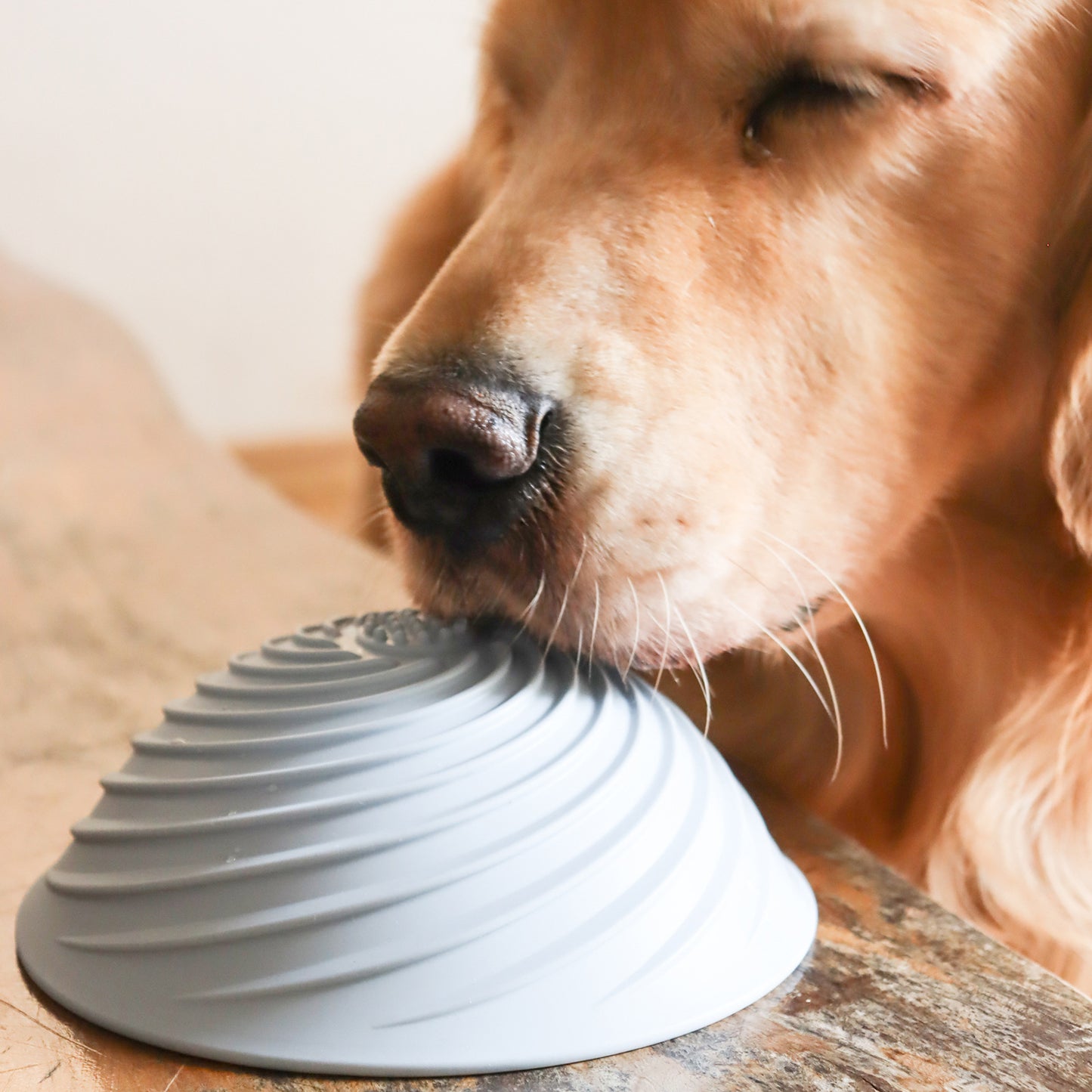 Sticky Licky Slow Feeding Bowl