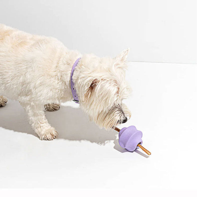 The Chew Crew: PupDot